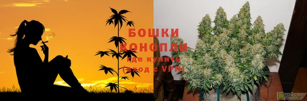 твердый Алзамай