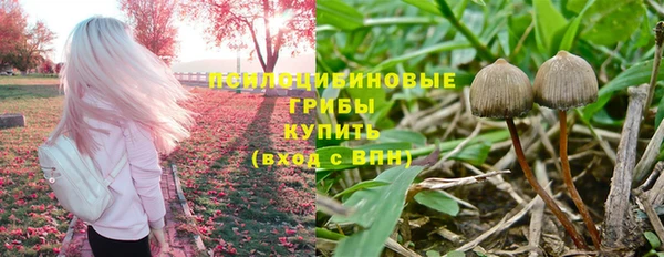 твердый Алзамай