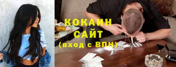 твердый Алзамай